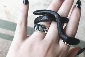 Черный маникюр со змеей