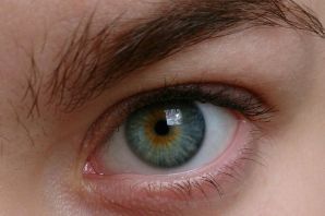 Янтарный цвет глаз