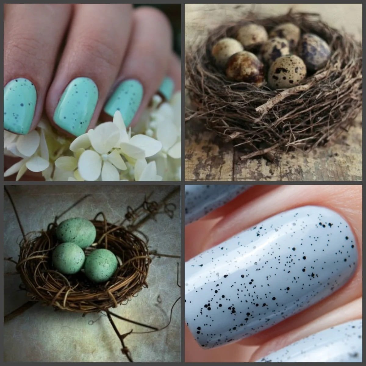 Дизайн ногтей яйца. Маникюр перепелиное яйцо 2021. Маникюр с пепепелин. Маникюр перепиный яйцо. Маникюр с эффектом перепелиного яйца.