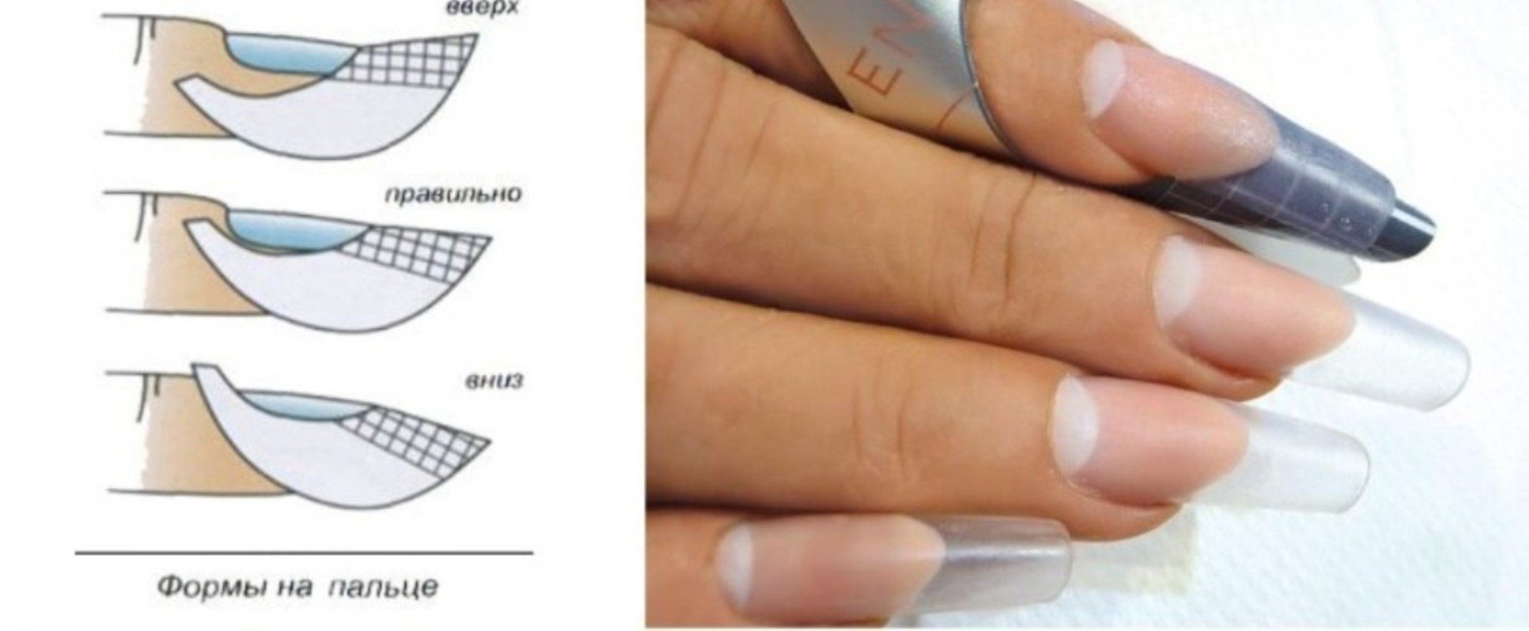 Однофазное наращивание. Форма ногтей миндаль сбоку. Правильная форма нарощенного ногтя миндаль сбоку. Форма ногтей миндаль вид сбоку. Нарощенные ногти сбоку вид форма миндаль.