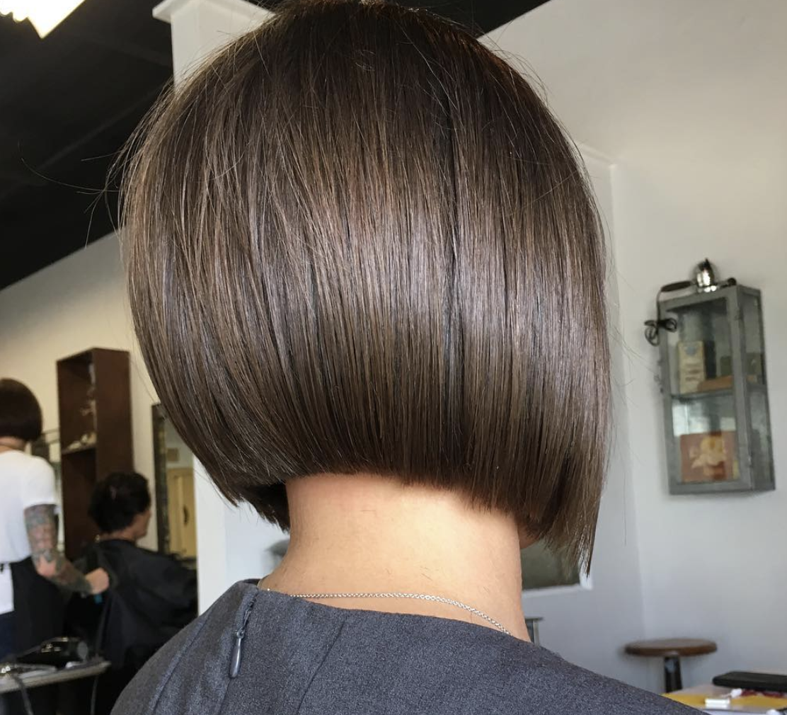 Сессон пиксибоб