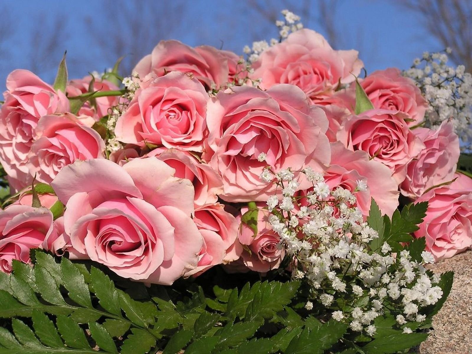 Красивые розы для красивой женщины картинки. Шикарные цветы. Букет цветов открытка.