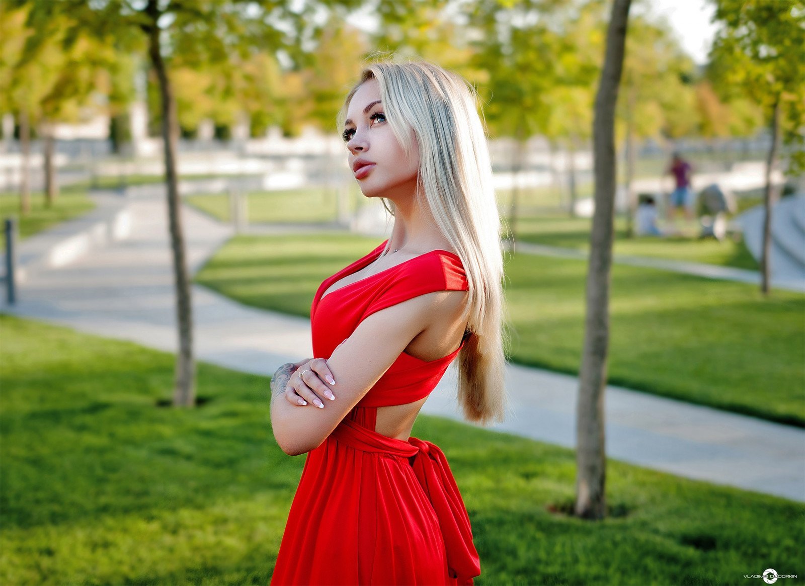 Блондинка в платье со спины (46 фото)