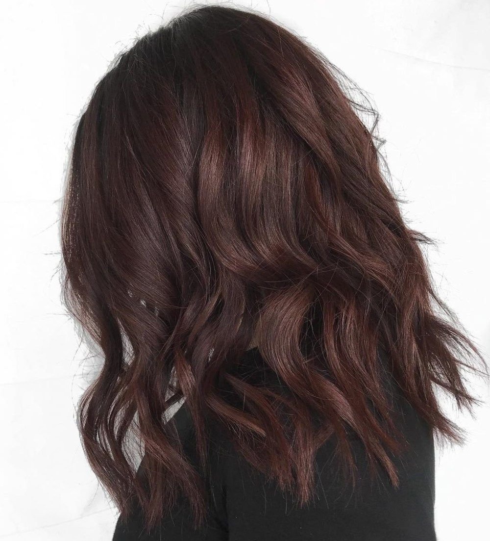 Цвет брауни. Бургунди Браун цвет волос. Бургунди Брауни цвет волос. Цвет волос мокко Браун. Дарк Браун цвет волос.