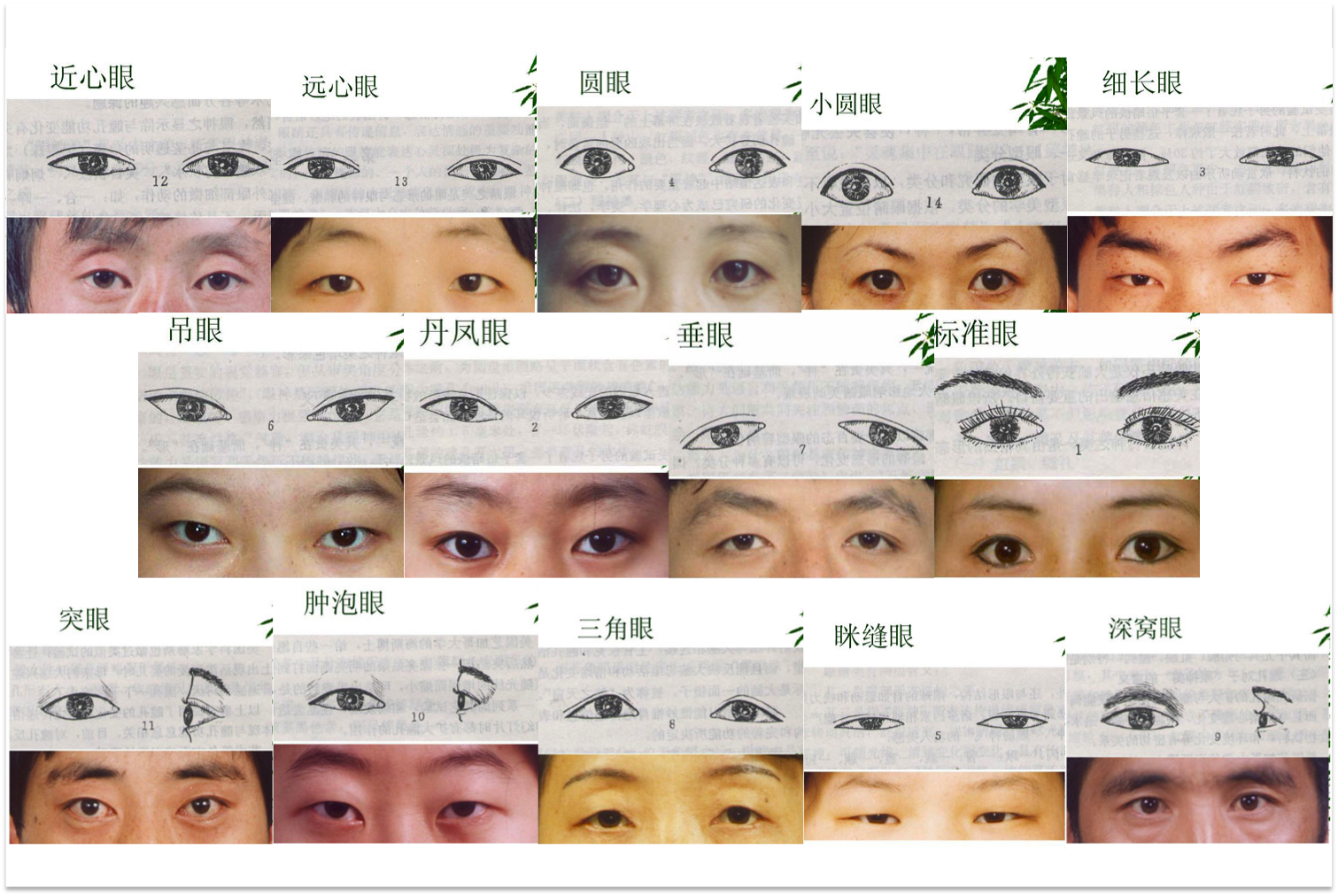 Виды век. Разрез глаз у разных наций. Разрезы глаза по национальности. Типы глаз азиатов. Разрезы глаз разных народностей.