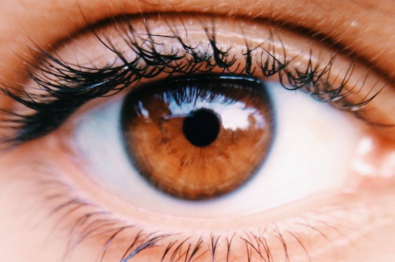 Напиши какого цвета глаза у твоих близких. Карие глаза. Карий цвет глаз. Глаз человека. Красивые карие глаза.
