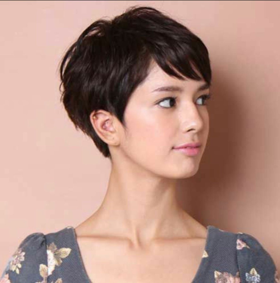 Пикси Боб с коротким затылком