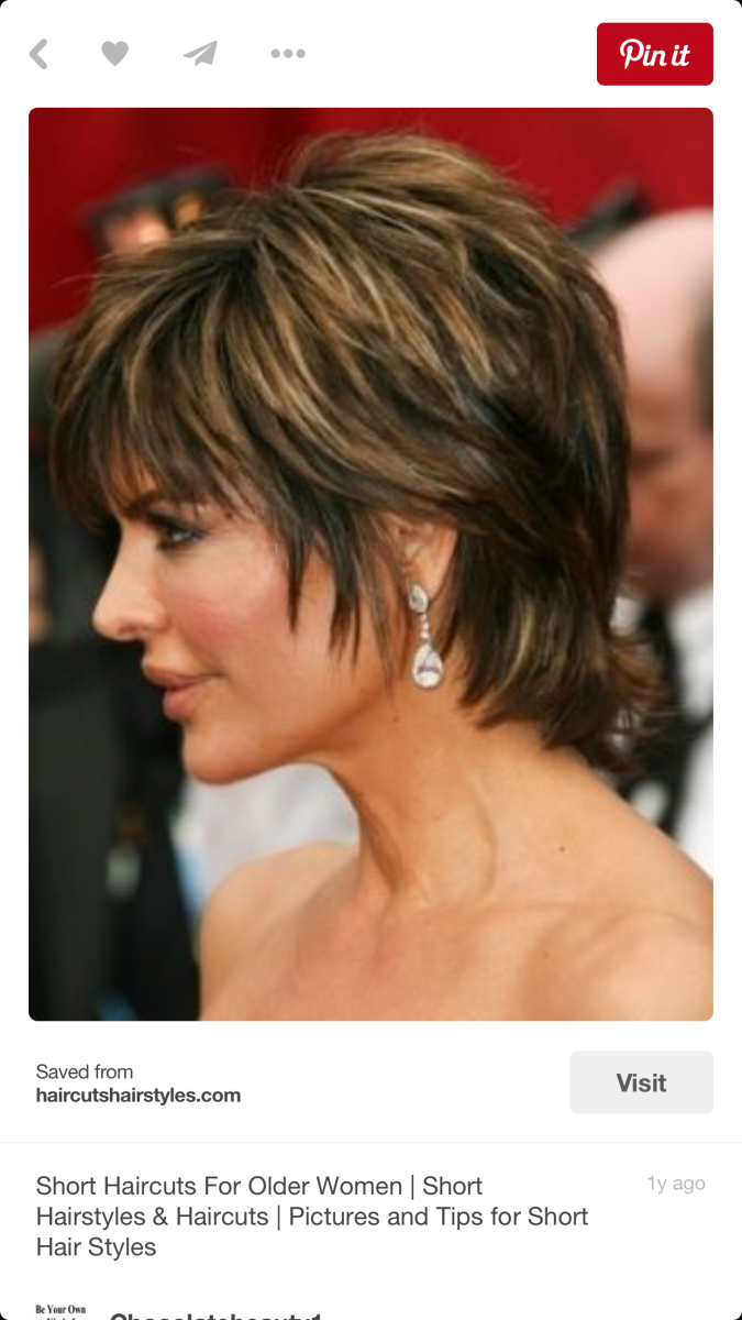 Пикси Боб с коротким затылком